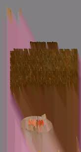 Image result for Swertia pleurogynoides