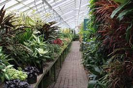 High quality greenhouse images, illustrations, vectors perfectly priced to fit your project's budget from bigstock. 225 535 Greenhouse Photos Free Royalty Free Stock Photos From Dreamstime