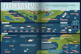 Farming Nemo Aquaculture Graphic From Heifer Org Infographic Oceans Of The World Ocean Day