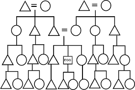 To Draw A Kinship Chart Use A Circle To Represent Female And