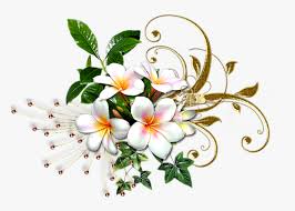 Check spelling or type a new query. Mq White Gold Flowers Flower Garden Gold And White Flowers Png Transparent Png Transparent Png Image Pngitem