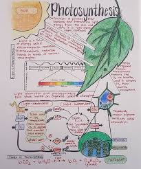 Pin On Grow Light Education