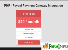What are you waiting for? Paypal Payment Gateway Php Source Code Pakainfo