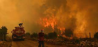 Σε εξέλιξη βρίσκεται πυρκαγιά, η οποία εκδηλώθηκε από άγνωστη μέχρι τώρα αιτία, σε δασική έκταση στην περιοχή βασιλίτσι. Yucctm9v4zzozm