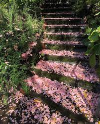 Alhamdulillah For Everything Nature Aesthetic Spring Aesthetic Nature
