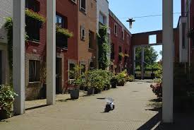 Image result for le medi rotterdam