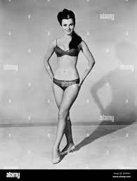 Gila Golan Bikini 5610 | Hot Sex Picture