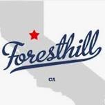 Wayward Buffalo: Foresthill 4th of July Parade