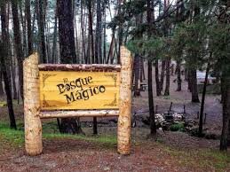 Maybe you would like to learn more about one of these? Bosque Magico Fuente Del Pino Soria Esta De Moda