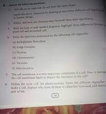 Check spelling or type a new query. Answer All Except Diagram Question Brainly In