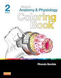 I'm not entirely sure what the focus of this book is or. Amazon Com Biology Coloring Workbook 2nd Edition An Easier And Better Way To Learn Biology 9780451487780 The Princeton Review Alcamo Edward Books