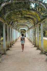 Jardim botânico do rio de janeiro rio de janeiro •. Foto Tumblr Rio De Janeiro Jardim Botanico Fotografia Ferias Rio De Janeiro Poses Fotograficas