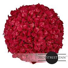 3rd street inn topiary balls: Plum Topiary Ball 15 Artificial Topiary Plant Wedding Decor Indoor Outdoor Artificial Plant Ball Topiary Tree Substitute 1 Plum Buy Online In Aruba At Aruba Desertcart Com Productid 46772668