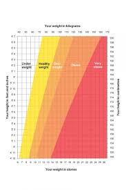 Talk to your child's pediatrician if you're. Bmi Calculator