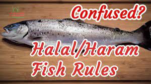 Bitcoin is (mostly) halal, say scholars. Halal Haram Fish Islamic Rules Ayatollah Sistani Youtube
