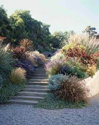plantes succulentes et graminees ornementales dans le jardin beaux jardins amenagement jardin jardins