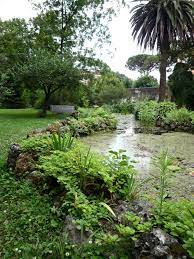 Check out these signs of whether you should create a botanical garden of your own. 10 Ideas To Steal From Botanical Gardens Around The World Gardenista