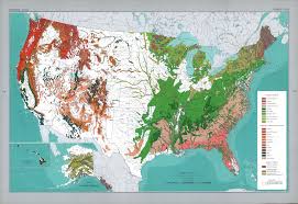 Usa Major Forest Types Landscape Drawings Map Types Of Forests