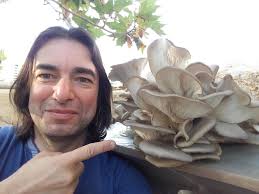 First harvest ever. Lion main. Total 1.5 pounds