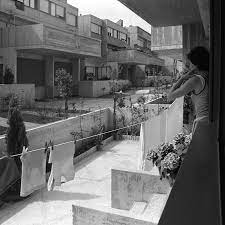 765 likes · 8 talking about this · 647 were here. Broken Dreams Ribaj