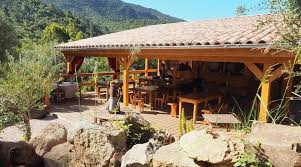 Image result for Usteria