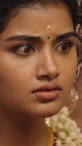 Edward Kumar (edwardcse4809)