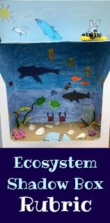 10 Biotic Factors In The Ocean Create An Ecosystem Shadow Box Or A Biome Diorama As A Creative Addition To Your Ecology Unit Includes Questions To Chec Ecosystems Ecosystems Projects Biomes