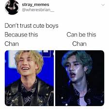 Hi My Name Is Quinn I M Og Owner S Friend She S Currently On A Long Break So I Ll Be Taking Over Her Pinterest From Time To Time Kid Memes Stray Kids