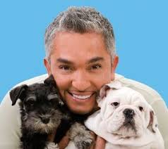 Top 10 Books For New Puppy Owners