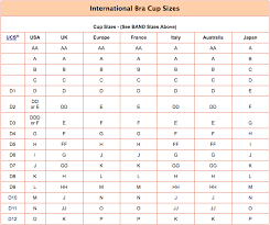 bra size calculator bra size converter conversion chart