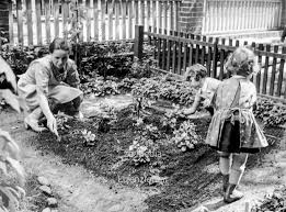1907 erschien die zweite, verbesserte und vermehrte auflage). Kinder Im Garten Des Pestalozzi Frobel Haus Berlin 1937 3 Foto Historiathek