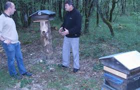 Le site officiel des notaires de france. Les Abeilles Font Leur Chemin Au Parc Defiplanet A Dienne