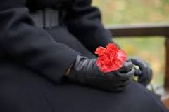 Image result