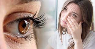 Si A Veces Sientes Que Te Tiembla El Parpado Del Ojo Tienes Que Saber Esto Bioguia