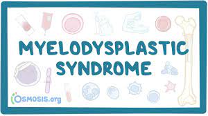 Myelodysplastic Syndromes Causes Symptoms Diagnosis Treatment Pathology Youtube