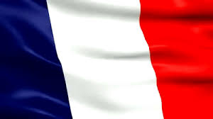This clipart image is transparent backgroud and png format. French Flag Gif