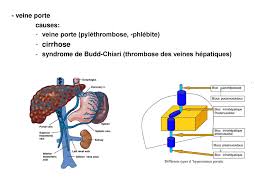 Bibliographie Notes Le Cours Ppt Telecharger