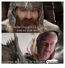 Ever Thought I D Die Fighting Side By Side With An Elf What About Side By Side With He Senate Elf Meme On Me Me