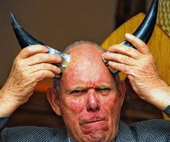 Wikinger satt zum 15. Geburtstag