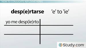 Spanish Reflexive Verbs Uses Conjugation Video Lesson Transcript Study Com If that doesn't highlight to you the importance of this verb, i don't know what to tell you. spanish reflexive verbs uses conjugation video