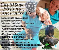 Vaterinaria Petland Cavancha