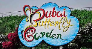See more ideas about picnic, picnic inspiration, perfect picnic. Best Picnic Spots In Dubai For A Perfect Day Out In 2021