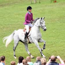 Ambos os cavalos foram anteriormente montados por mandy mendes costa. 14 Ideias De Luciana Diniz Equitacao Equitacao Rodrigo Pessoa Hipismo