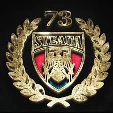 Totodata, acesta spune ca csa steaua este o echipa infiintata in anul 2017. Csa Steaua Bucuresti Sectia Diving Fotos Facebook