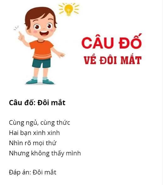 100 câu đố vui có đáp án về các bộ phận cơ thể người hay nhất - BlogAnChoi