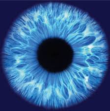 Google Image Result For Http Www Optometry Co Uk Images Jobs 2525 Bowleys Opticians Jpg Eye Art Eye Texture Eye Print