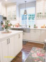 beautiful starter kitchen cabinets