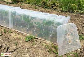 Serre De Jardin Tunnel De Forcage Modulo 30 78 Cm Lot De 3 Mvi Serre Jardin Serre De Jardin Tunnel Jardins