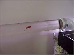 Bio Elite Aquarium Water Bridge Fish Tank Betta Fish Aquarium Fish