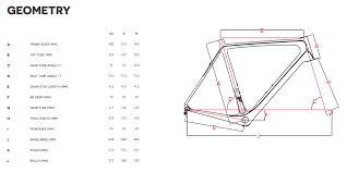 focus cayo disc donna 105